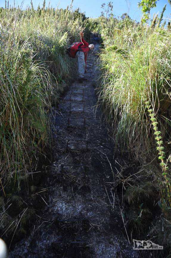 Com a ajuda de grampos de ferro fincados na rocha, subindo o Elevador, com inclinações próximas de 70 graus, no 2o dia de travessia no Parque Nacional da Serra dos Órgãos, no Rio de Janeiro